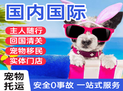 沧源佤山空运公司国际宠物托运 【国